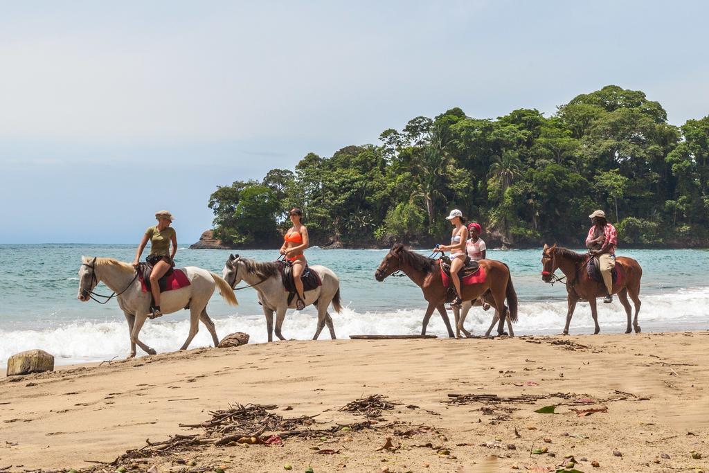 Relax Natural Village Adults Only Puerto Viejo de Talamanca Ngoại thất bức ảnh