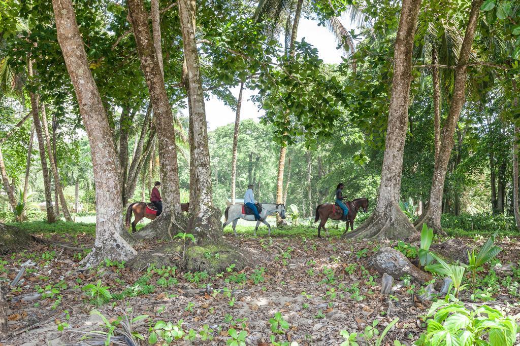 Relax Natural Village Adults Only Puerto Viejo de Talamanca Ngoại thất bức ảnh