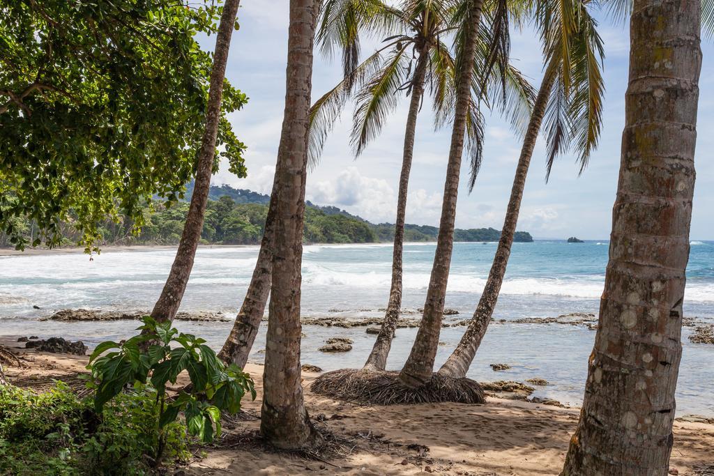 Relax Natural Village Adults Only Puerto Viejo de Talamanca Ngoại thất bức ảnh