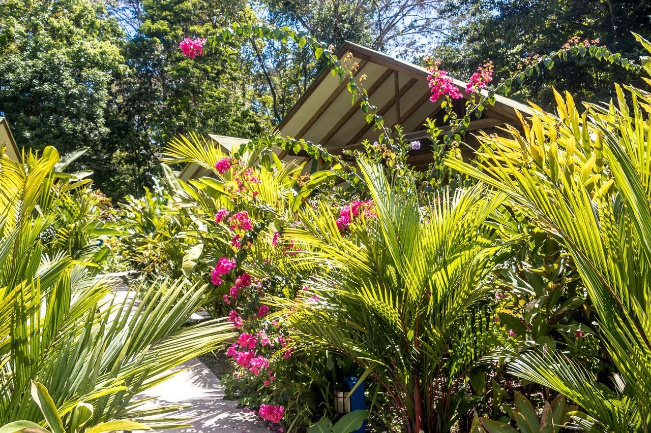 Relax Natural Village Adults Only Puerto Viejo de Talamanca Ngoại thất bức ảnh