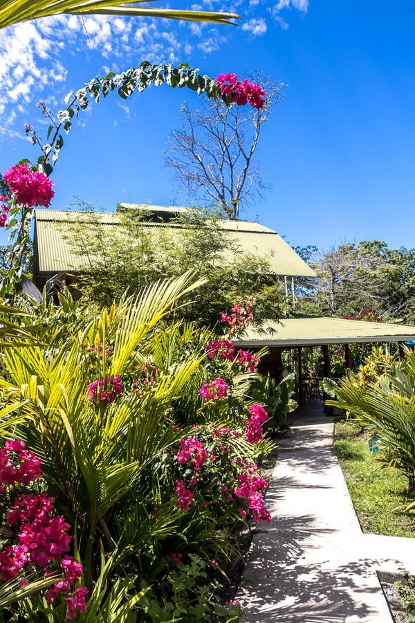 Relax Natural Village Adults Only Puerto Viejo de Talamanca Ngoại thất bức ảnh